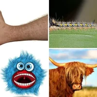 Les quatre images du niveau 986 de 4 Images 1 Mot