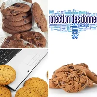 Les quatre images du niveau 1008 de 4 Images 1 Mot