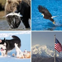 Les quatre images du niveau 1056 de 4 Images 1 Mot