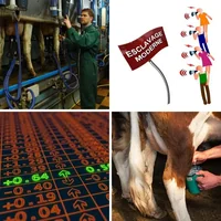 Les quatre images du niveau 1308 de 4 Images 1 Mot