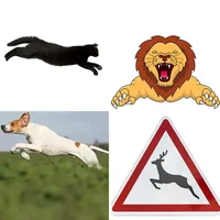 Les quatre images du niveau 1351 de 4 Images 1 Mot