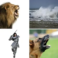 Les quatre images du niveau 1364 de 4 Images 1 Mot