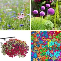 Les quatre images du niveau 1376 de 4 Images 1 Mot