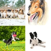 Les quatre images du niveau 1393 de 4 Images 1 Mot