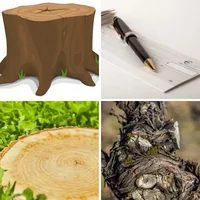 Les quatre images du niveau 1397 de 4 Images 1 Mot