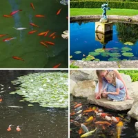 Les quatre images du niveau 1473 de 4 Images 1 Mot