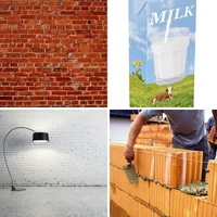 Les quatre images du niveau 164 de 4 Images 1 Mot