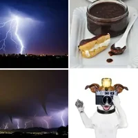 Les quatre images du niveau 218 de 4 Images 1 Mot