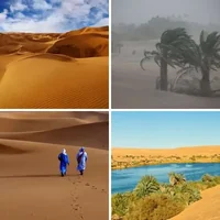 Les quatre images du niveau 224 de 4 Images 1 Mot