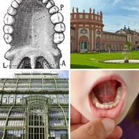 Les quatre images du niveau 287 de 4 Images 1 Mot