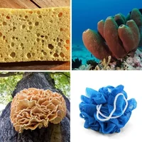 Les quatre images du niveau 290 de 4 Images 1 Mot
