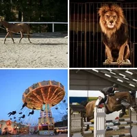 Les quatre images du niveau 296 de 4 Images 1 Mot