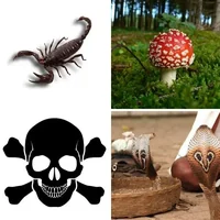 Les quatre images du niveau 302 de 4 Images 1 Mot