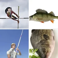 Les quatre images du niveau 350 de 4 Images 1 Mot