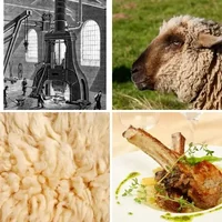 Les quatre images du niveau 410 de 4 Images 1 Mot