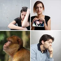 Les quatre images du niveau 42 de 4 Images 1 Mot