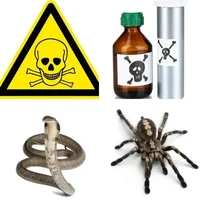 Les quatre images du niveau 498 de 4 Images 1 Mot