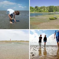 Les quatre images du niveau 513 de 4 Images 1 Mot