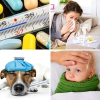 Les quatre images du niveau 526 de 4 Images 1 Mot