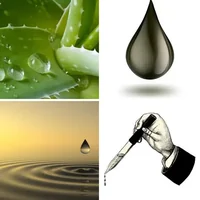 Les quatre images du niveau 532 de 4 Images 1 Mot