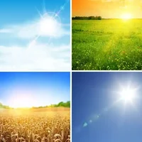 Les quatre images du niveau 646 de 4 Images 1 Mot