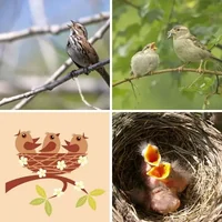 Les quatre images du niveau 649 de 4 Images 1 Mot