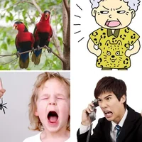 Les quatre images du niveau 689 de 4 Images 1 Mot