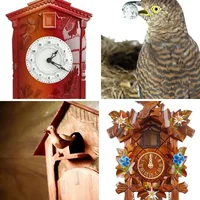 Les quatre images du niveau 744 de 4 Images 1 Mot