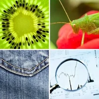 Les quatre images du niveau 799 de 4 Images 1 Mot