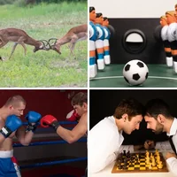 Les quatre images du niveau 937 de 4 Images 1 Mot