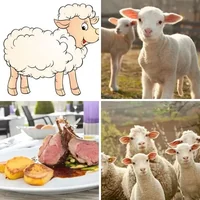 Les quatre images du niveau 948 de 4 Images 1 Mot