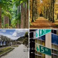 Les quatre images du niveau 975 de 4 Images 1 Mot