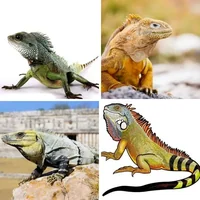 Les quatre images du niveau 988 de 4 Images 1 Mot