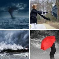 Les quatre images du niveau 1011 de 4 Images 1 Mot