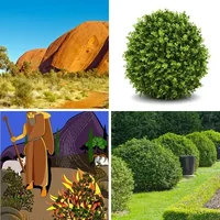 Les quatre images du niveau 1083 de 4 Images 1 Mot
