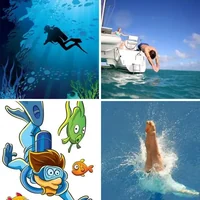 Les quatre images du niveau 1101 de 4 Images 1 Mot
