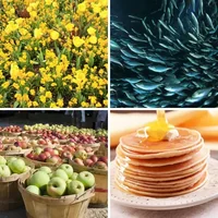 Les quatre images du niveau 1161 de 4 Images 1 Mot