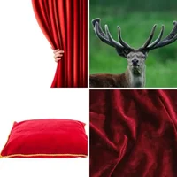 Les quatre images du niveau 1187 de 4 Images 1 Mot
