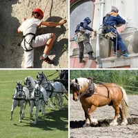Les quatre images du niveau 1193 de 4 Images 1 Mot