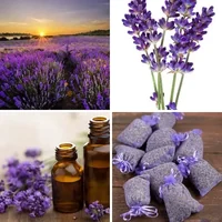 Les quatre images du niveau 1256 de 4 Images 1 Mot