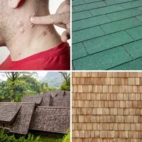 Les quatre images du niveau 1257 de 4 Images 1 Mot