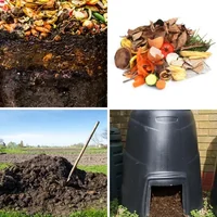 Les quatre images du niveau 1394 de 4 Images 1 Mot