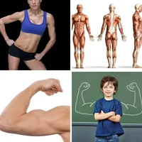Les quatre images du niveau 1422 de 4 Images 1 Mot