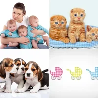 Les quatre images du niveau 2030 de 4 Images 1 Mot