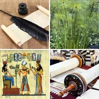 Les quatre images du niveau 212 de 4 Images 1 Mot