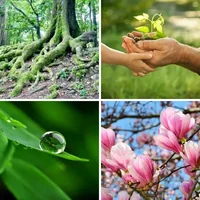 Les quatre images du niveau 316 de 4 Images 1 Mot