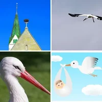 Les quatre images du niveau 339 de 4 Images 1 Mot