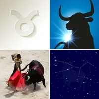 Les quatre images du niveau 365 de 4 Images 1 Mot