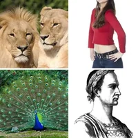 Les quatre images du niveau 385 de 4 Images 1 Mot