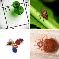Les quatre images du niveau 420 de 4 Images 1 Mot